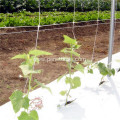 plant supporting net for climbing fruit and vegetable